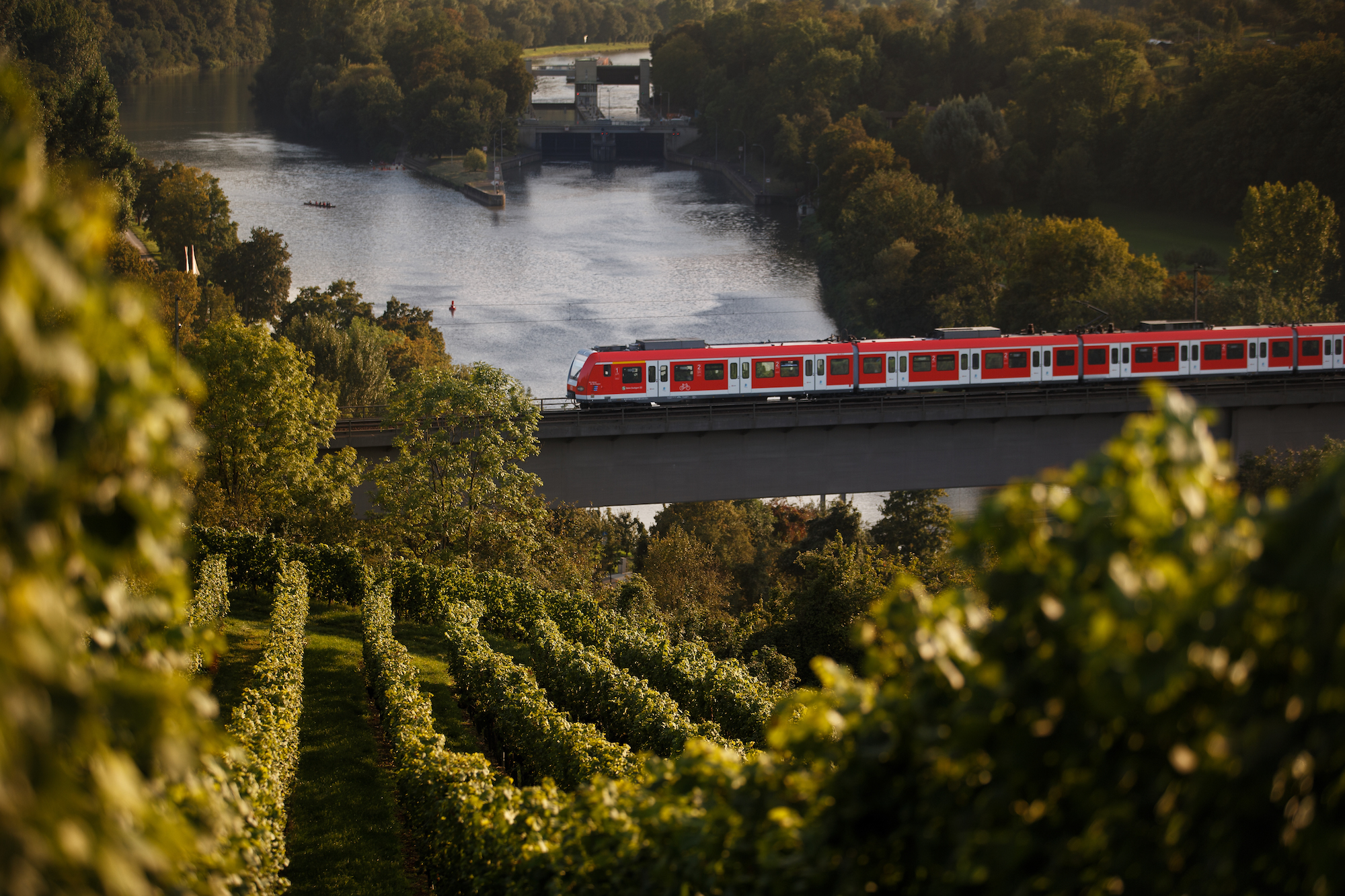 Zur Herbstwanderung mit der SBahn Deutsche Bahn AG