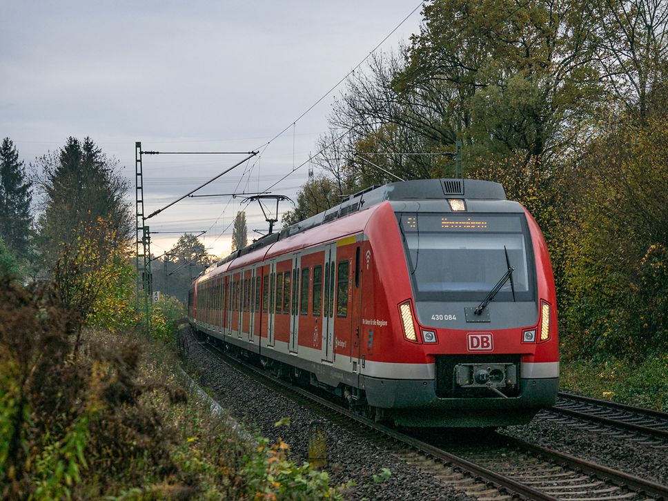 S-Bahn fährt auf Gleisen. Drumherum sind Bäume und Gräser