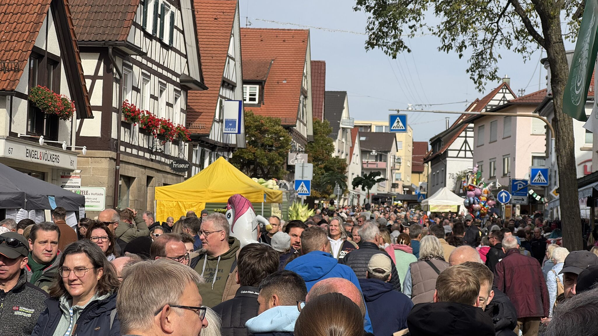 Viele Bewsucher Krautfest