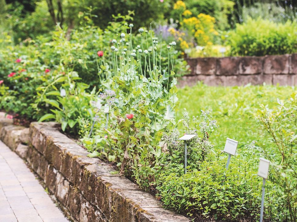 Apothekergarten Bad Liebenzell 
