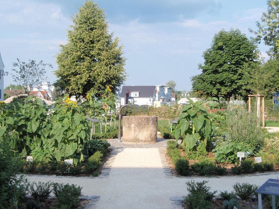 Heilkräutergarten Winterbach