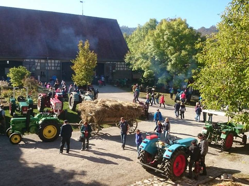 Oldtimer-Traktorentag%20Hohenloher%20Freilandmuseum%20in%20Wackershofen